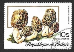 Stamps Guinea -  C131 - Morilla