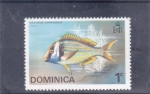 Stamps Dominica -  pez