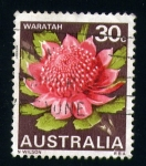 Stamps : Oceania : Australia :  Waratah
