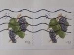 Stamps : America : United_States :  Grapes - Uvas- Serie: Frutas.