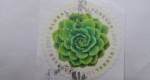 Stamps United States -  Green Succulent Global forever.