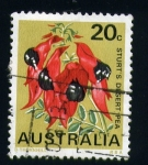 Stamps Oceania - Australia -  Sturt´s desert pea