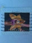 Stamps United States -  Crested Coral Root (Hexalectris Spicate)- Raíz de Coral con Cresta-Serie:Orquídea Salvaje.