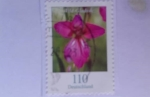 Sellos del Mundo : America : Alemania : Wild Gladiola (Gladiolus illycricus)- Gladiola salvaje- Serie: Flores (2005)