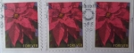 Stamps : America : United_States :  Poinsettia Large- Flores de Pascua Grande- Serie:Navidad (013)