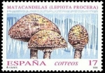 Stamps Spain -  ESPAÑA 1993 3244 Sello Nuevo Micología Setas, Mushrooms Matacandelas Michel3102 Scott2700