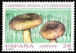 Sellos de Europa - Espaa -  ESPAÑA 1993 3246 Sello Nuevo Micología Setas, Mushrooms Carbonera Michel3104 Scott2702