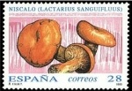 Stamps Spain -  ESPAÑA 1993 3247 Sello Nuevo Micología Setas, Mushrooms Niscalo de Sangre Michel3105 Scott2703
