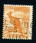 Stamps Oceania - Australia -  Canguro
