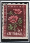 Stamps Hungary -  Peonies