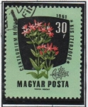 Stamps Hungary -  Flores: Centauro