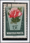 Stamps Hungary -  Rosas En su color natural