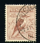 Sellos de Oceania - Australia -  Kookaburra