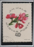 Stamps Hungary -  Elberta Melocotones