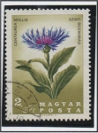 Stamps Hungary -  Flores d' l' Cuenca d' l' Carpados