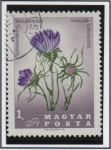 Sellos de Europa - Hungra -  Flores d' l' Cuenca d' l' Carpados