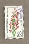 Stamps Germany -  Orquideas endémicas