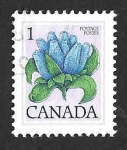 Stamps Canada -  705 - Genciana