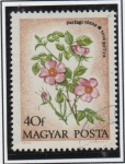 Stamps Hungary -  Rosas Provenza