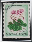 Stamps Hungary -  Ciclamen