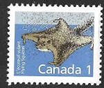 Stamps Canada -  1155 - Ardilla Voladora