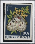 Stamps Hungary -  Parnassius Apolio