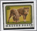 Stamps Hungary -  Jabalies