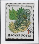 Stamps Hungary -  Alamo,Roble, pino y mapa d' Hungria