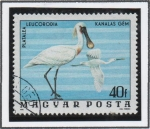 Stamps Hungary -  Espatulas