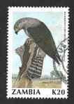 Stamps Zambia -  538 - Cernícalo Gris de Dickinson
