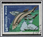 Stamps Hungary -  Sturgeons y Mapa d' Danube