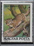 Stamps Hungary -  Protecion d' l' Fauna: Gato Salvaje