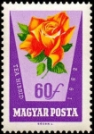 Stamps : Europe : Hungary :  Roses