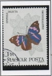 Stamps Hungary -  Mariposas, Epiphille dilecta