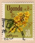 Stamps : Africa : Uganda :  1969 Plantas: Ochna ovata