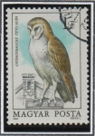 Stamps Hungary -  Buhos: Tyto alba