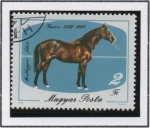 Stamps Hungary -  Caballos: Cataño Claro