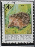 Stamps Hungary -  Concolor erinaceus