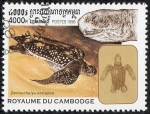 Stamps : Asia : Cambodia :  Tortugas