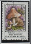 Stamps Hungary -  Hongos: Patouillardi Inocybe