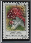 Stamps Hungary -  Hongos: Amanita Muscaria