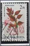 Sellos de Europa - Hungra -  Orquídeas: Oscbis Purpurea