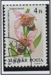 Sellos de Europa - Hungr�a -  Orquídeas: Ophrys Scolopax Cormuta