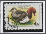 Stamps Hungary -  Patos:Netta rufina