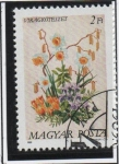 Stamps Hungary -  arreglos d' Flores