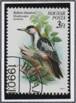 Sellos de Europa - Hungr�a -  Aves Protegidas, Pyrrhula pyrrula