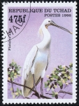 Stamps : Africa : Chad :  pajaros