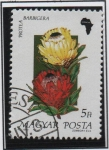 Sellos de Europa - Hungr�a -  Flores d' Africa, Barbigera protea