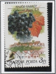 Stamps Hungary -  Uvas y Zonas Productoras d' Vino; Cabernet Franc.