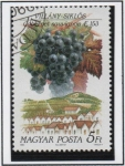 Sellos de Europa - Hungr�a -  Uvas y Zonas Productoras d' Vino; Cabernet Sauvignon